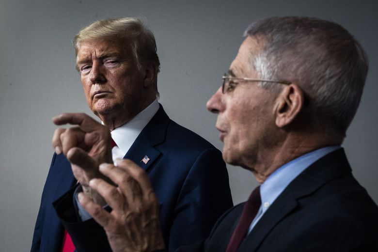 Fauci warns of covid-19 surge, offers blunt assessment of Trump's response  | The Seattle Times