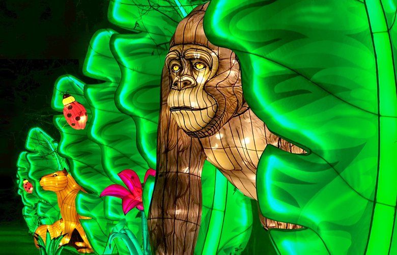 Catch holiday light displays at Woodland Park Zoo, Point Defiance