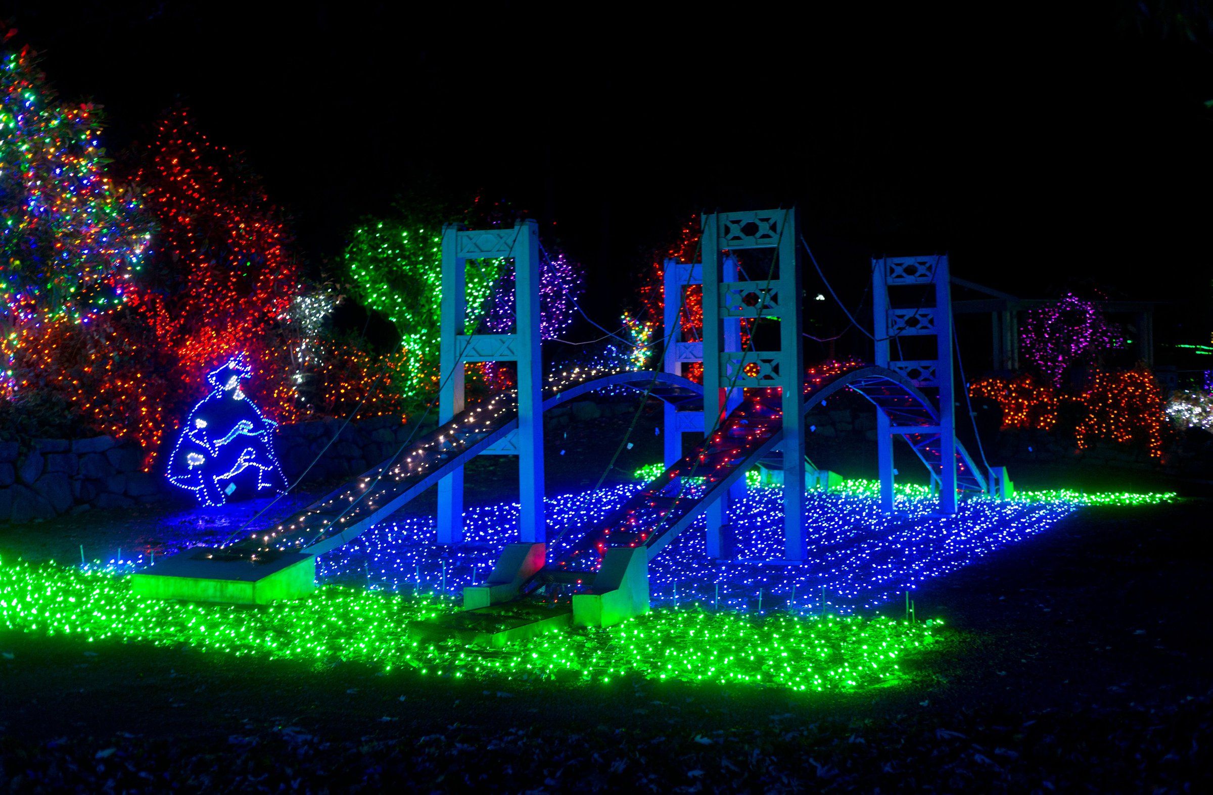 Catch holiday light displays at Woodland Park Zoo, Point Defiance