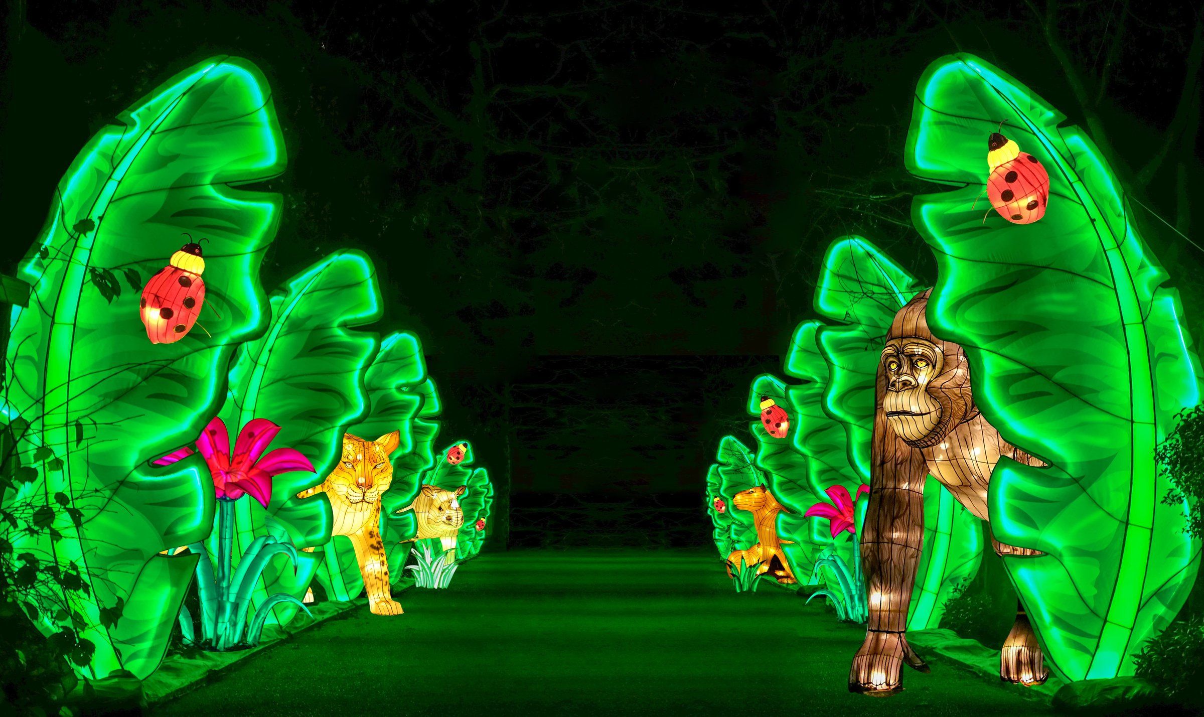 Catch holiday light displays at Woodland Park Zoo, Point Defiance