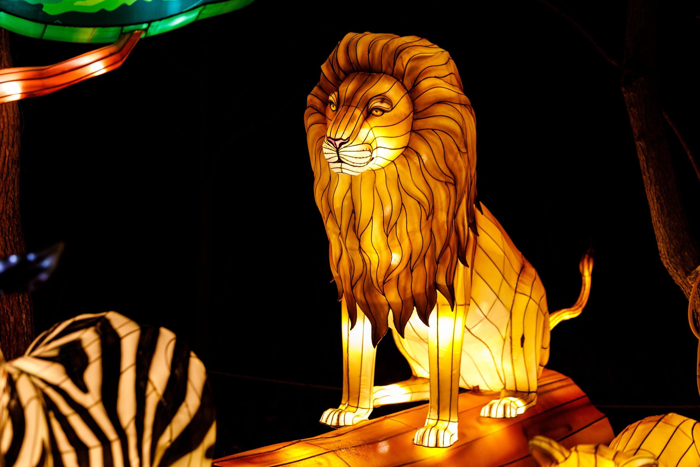 Catch holiday light displays at Woodland Park Zoo, Point Defiance