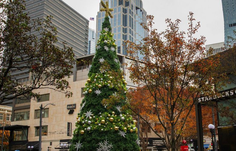 Here’s how to watch the Westlake tree and Seattle Star lighting, and ...