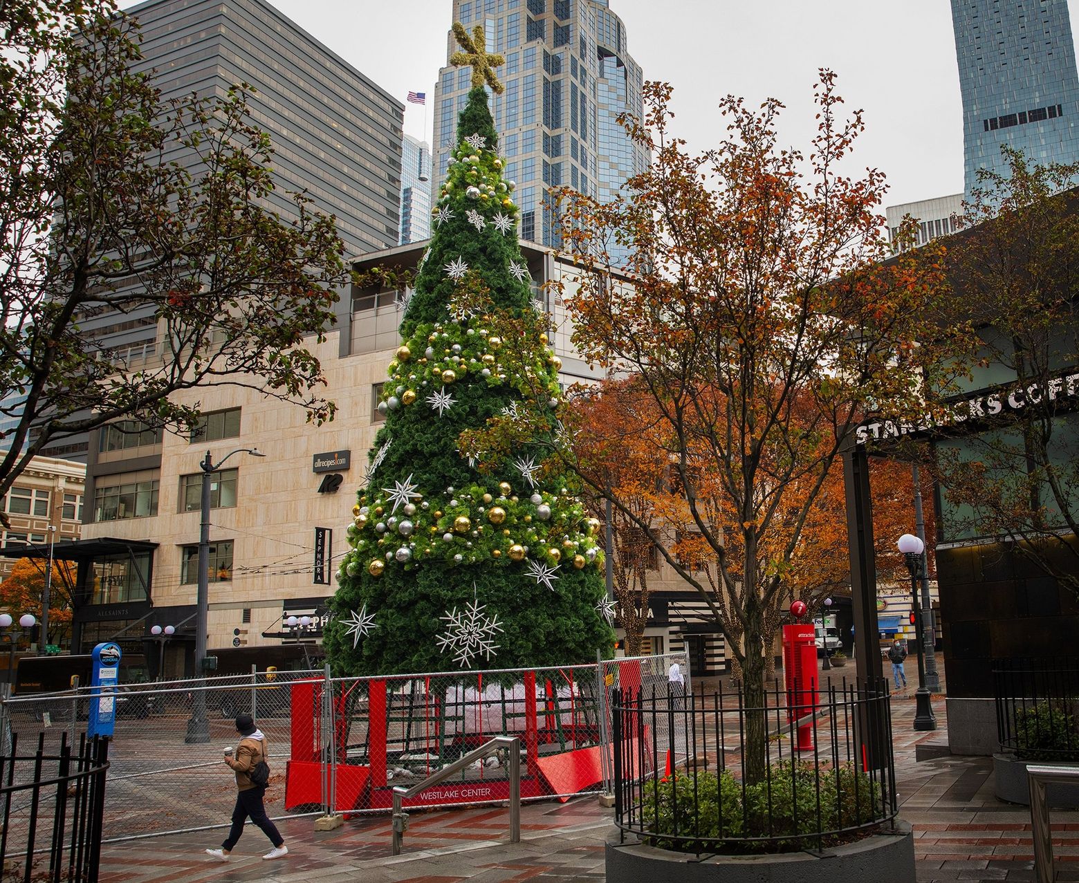 Westlake Center Christmas 2022 Here's How To Watch The Westlake Tree And Seattle Star Lighting, And  Seattle Center Winterfest | The Seattle Times