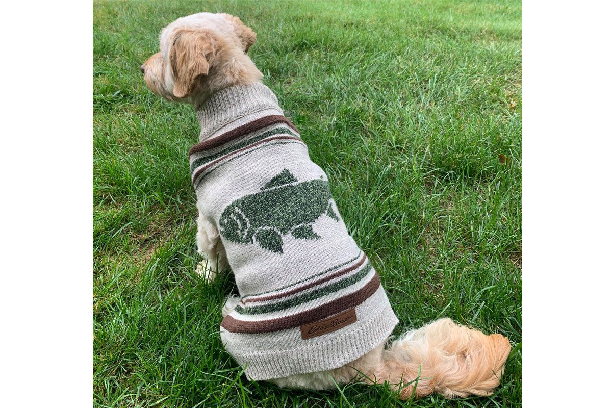 eddie bauer dog sweater squirrel