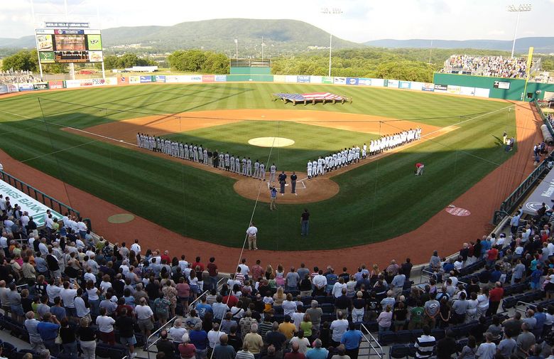 MLB News: MLB announces wood bat league for draft eligible players