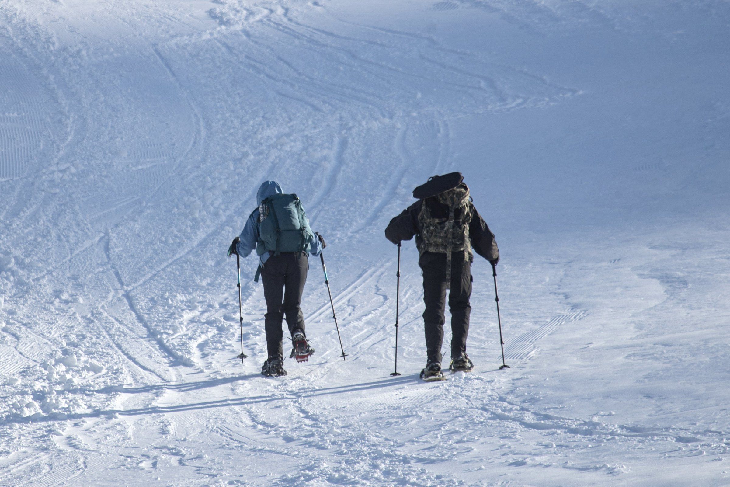10 Washington snowshoeing routes to help you get out (and spread