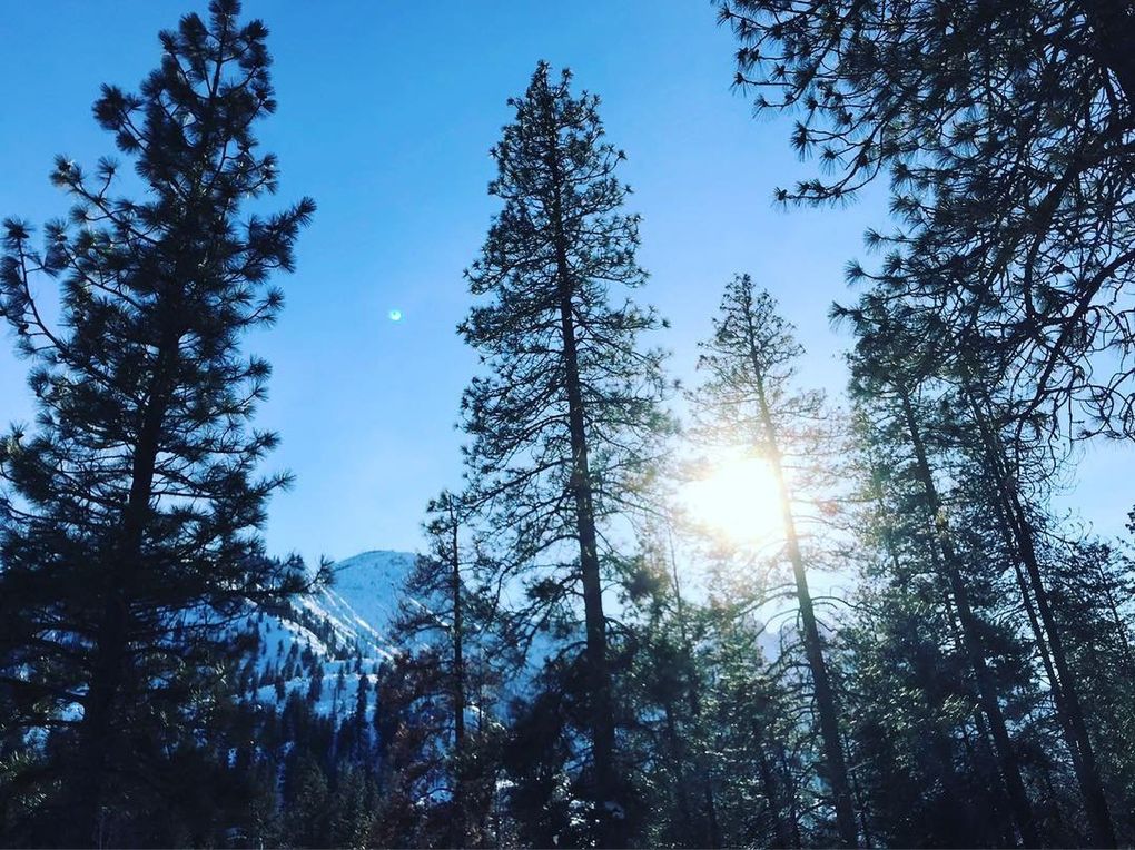 The view along the Icicle River Trail Nordic ski trail in Leavenworth. (Megan Burbank / The Seattle Times)