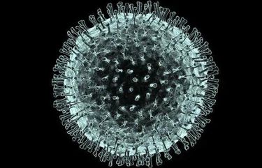 An electron microscope image based illustration of the 2019 Novel Coronavirus (2019-nCoV) responsible for the current outbreak an epidemic in Wuhan, China. Image provided by Dr. Daniel Haight. [ ALFRED PASIEKA-SCIENCE PHOTO LIBRARY ] 1625009
