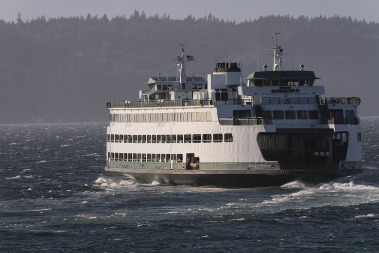 can i take a dogs on a ferries washington