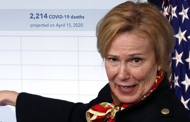 WH virus coordinator Deborah Birx says she will retire | The Seattle Times