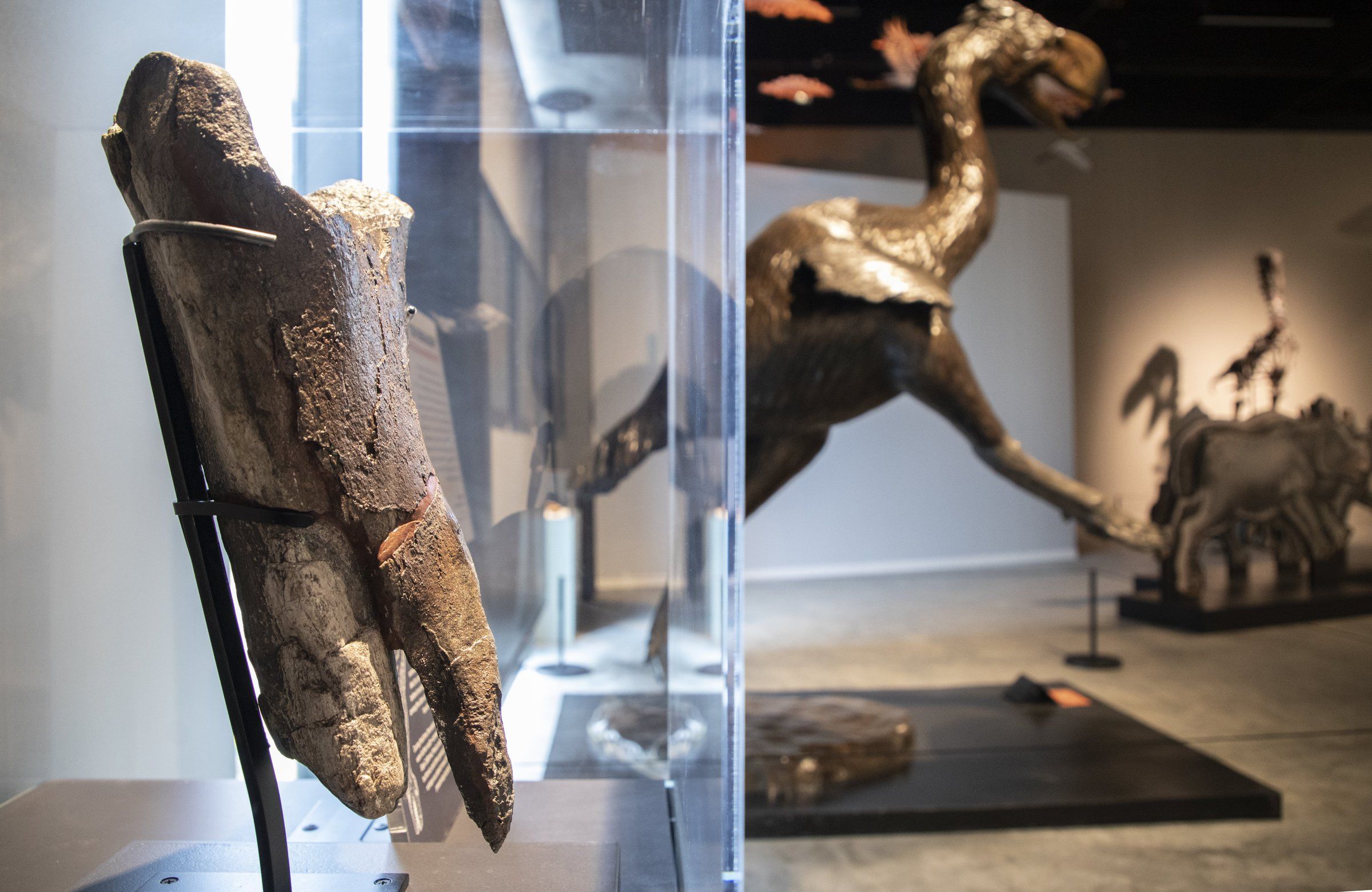 For each of the Burke Museum's 18,000,000+ artifacts, there's a