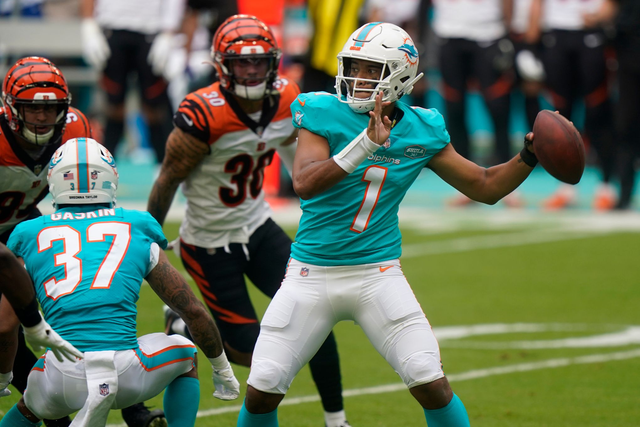 Bengals-Dolphins brawl: Three ejected, Miami players defend Brian