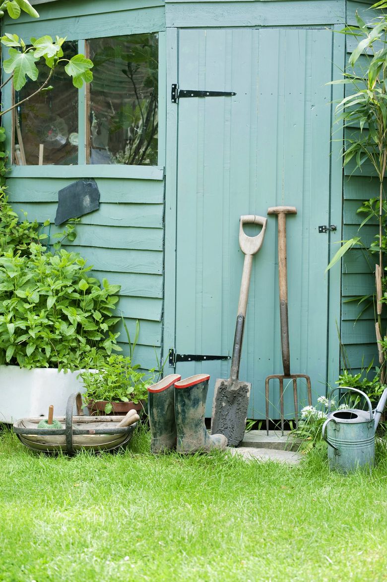 Vegetable Gardening: A Beginner's Guide