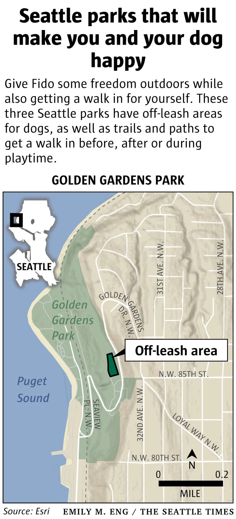 Off leash dog park study published; Lincoln Park and West Seattle Stadium  considered for expansion