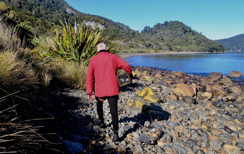 Is your bait disappearing, but you're catching nothing? - Predator Free NZ  Trust