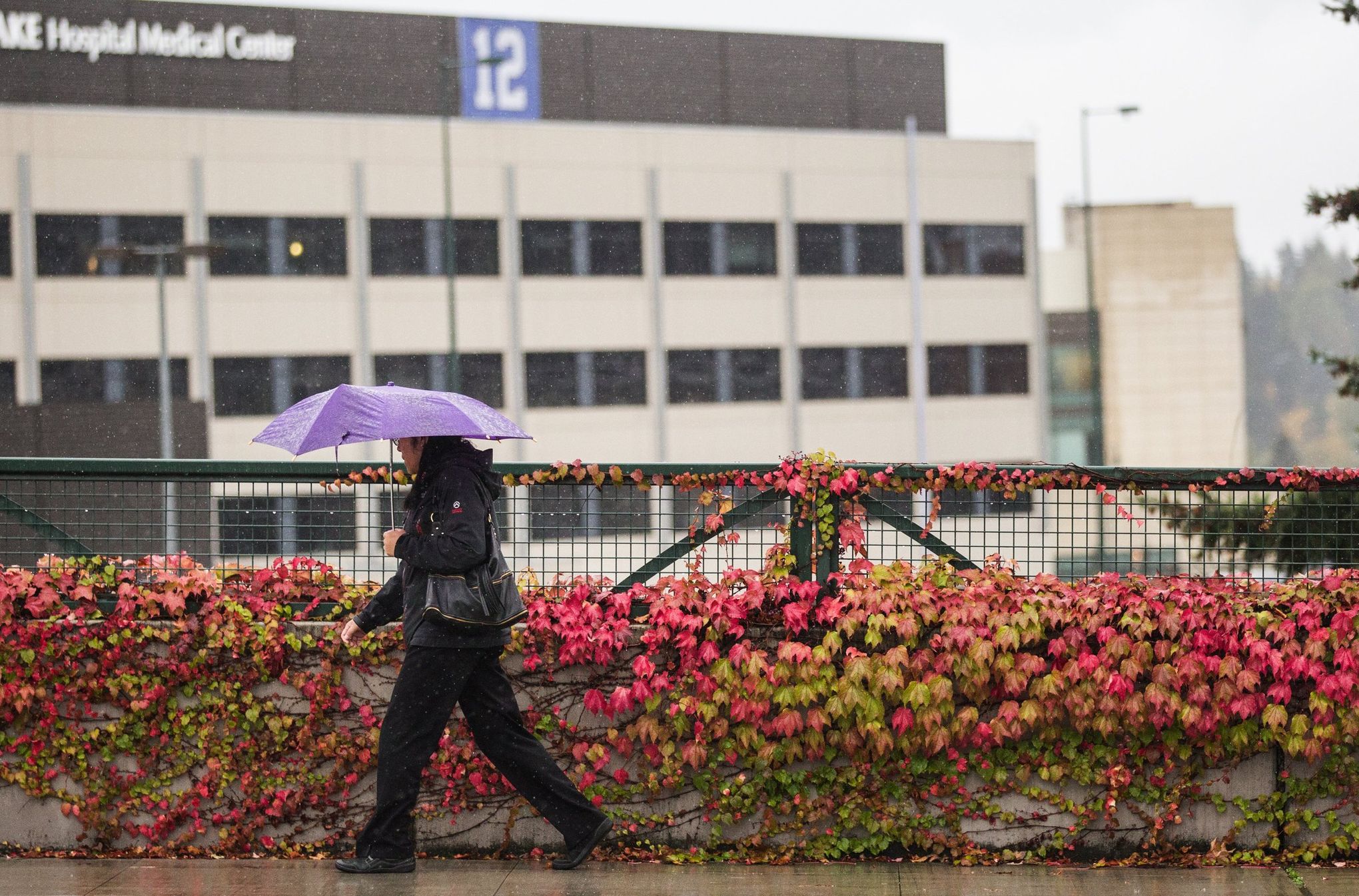 Overlake Medical Center donors got special access to COVID-19 vaccine;  Inslee rebukes hospital system | The Seattle Times