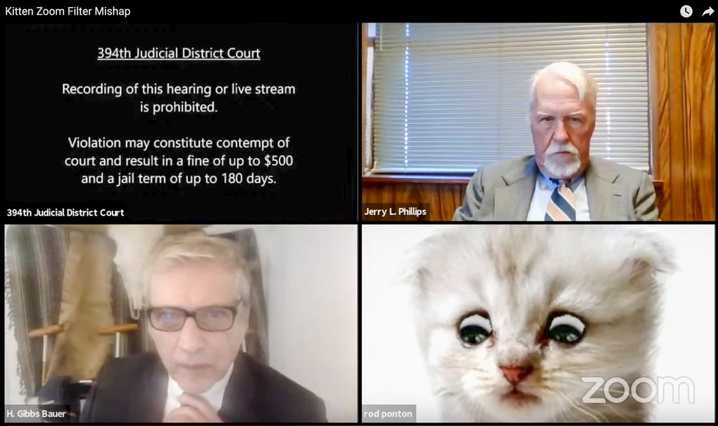 This image from video shows a hearing from the 394th Judicial District Court of Texas. The hearing took a detour when an attorney showed up looking like a kitten. A filter that had been activated on the attorney’s device obscured his appearance and made him look like a cat. Judge Roy Ferguson shared the short video clip of the mishap on YouTube. The judge says everyone involved handled the situation with professionalism and grace. (Texas Department of Criminal Justice via AP)