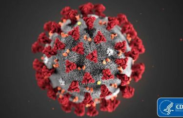 A COVID-19 particle is pictured in this image provided by the Centers for Disease Control and Prevention. (CDC/TNS) 8303209W 8303209W