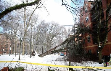 Nearly 100,000 remain without power in Portland as outages stretch into ...