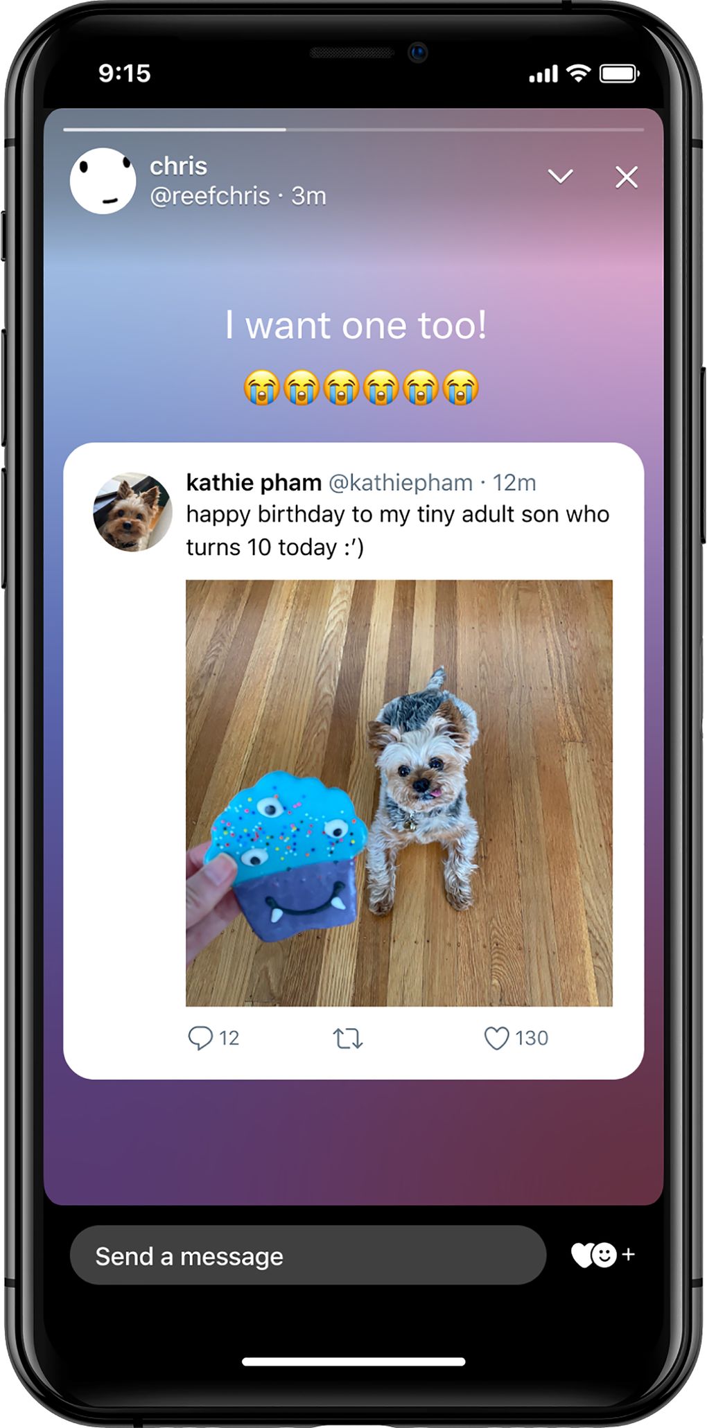 A Twitter “fleet.” (Twitter via The New York Times)