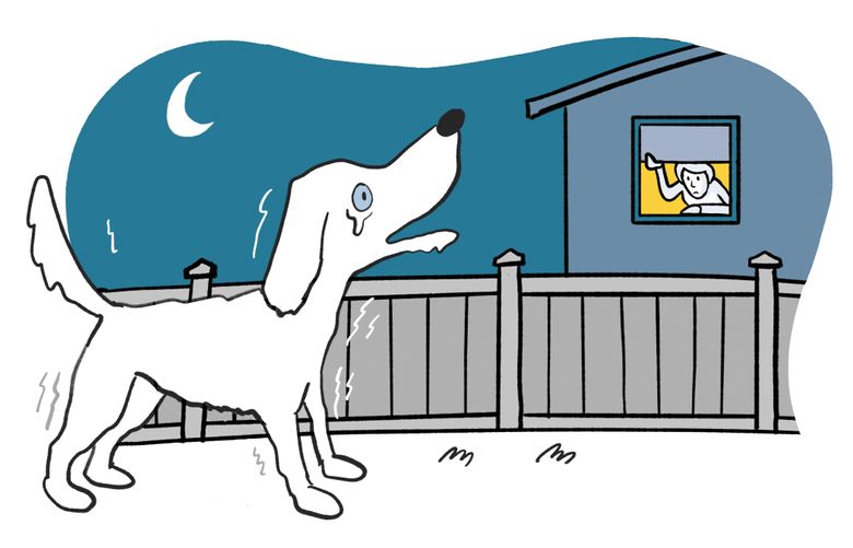 Is There A Law Against Dogs Barking At Night