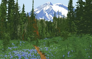 Meadows of wildflowers frame the Pacific Crest Trail as Mount Adams emerges in the distance. Credit: Joshua M. Powell/Courtesy Sasquatch Books (from the facing page of the title page of â€œThe Pacific Crest Trail: A Visual Compendiumâ€ by Joshua M. Powell)