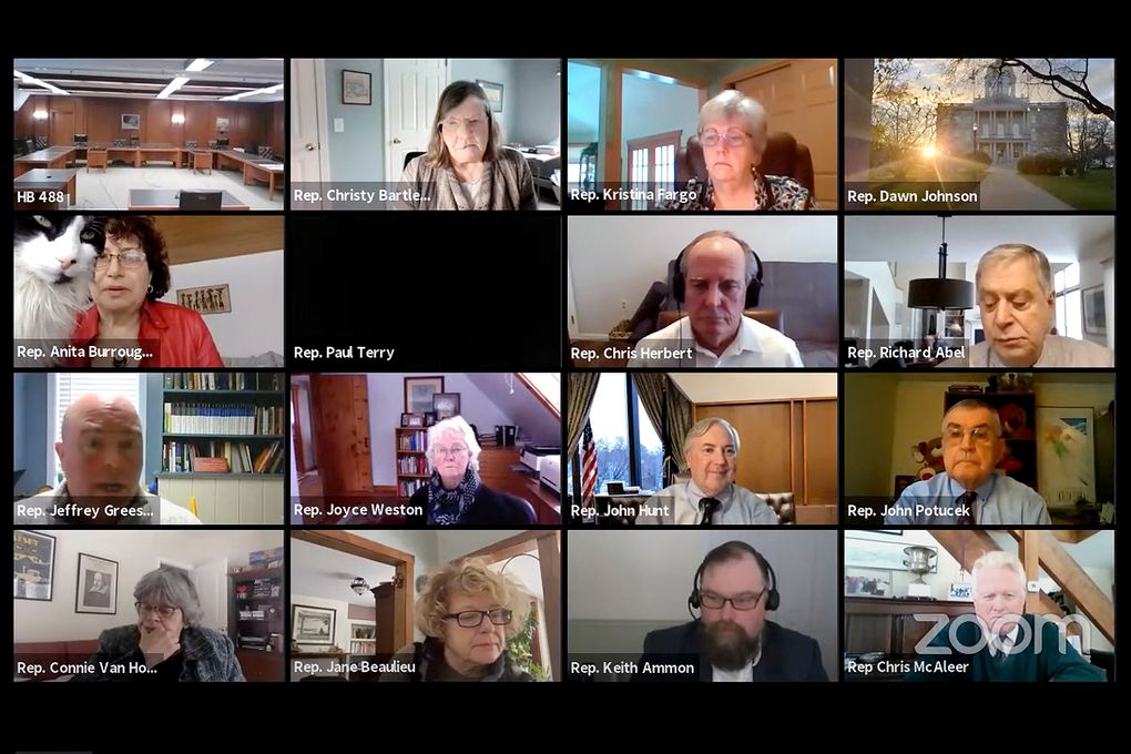 In this Wednesday, Feb. 3, 2020, image, members of New Hampshire’s House Commerce and Consumer Affairs Committee participate in a livestream video meeting. After her cat, Yoshi, showed up on screen, at left on second row from the top, Rep. Anita Burroughs, a Democrat from Glen, said she was told lawmakers are no longer allowed to have pets in the room during such meetings. (State of New Hampshire via AP)
