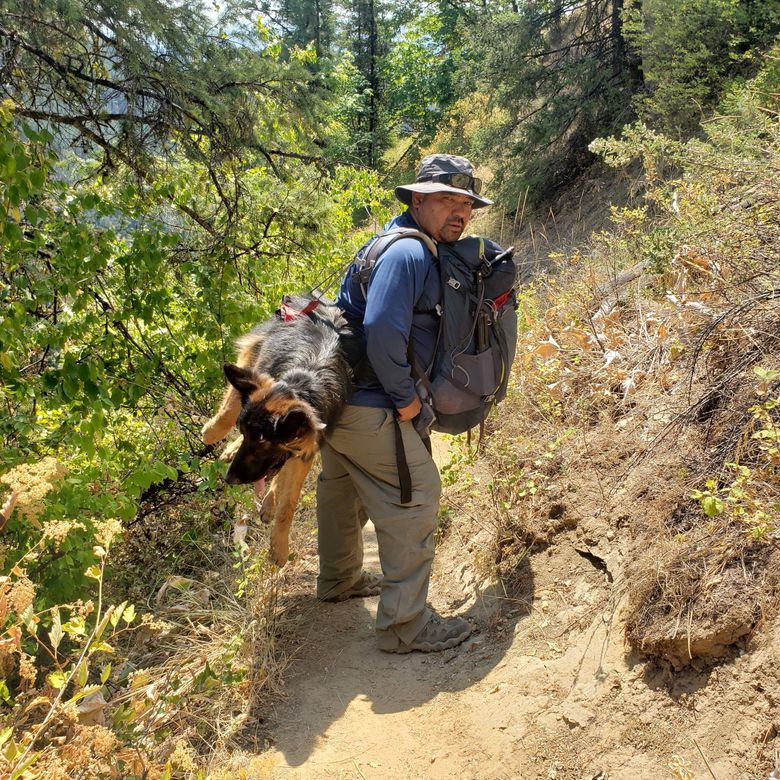 how do i prepare my dog for hiking