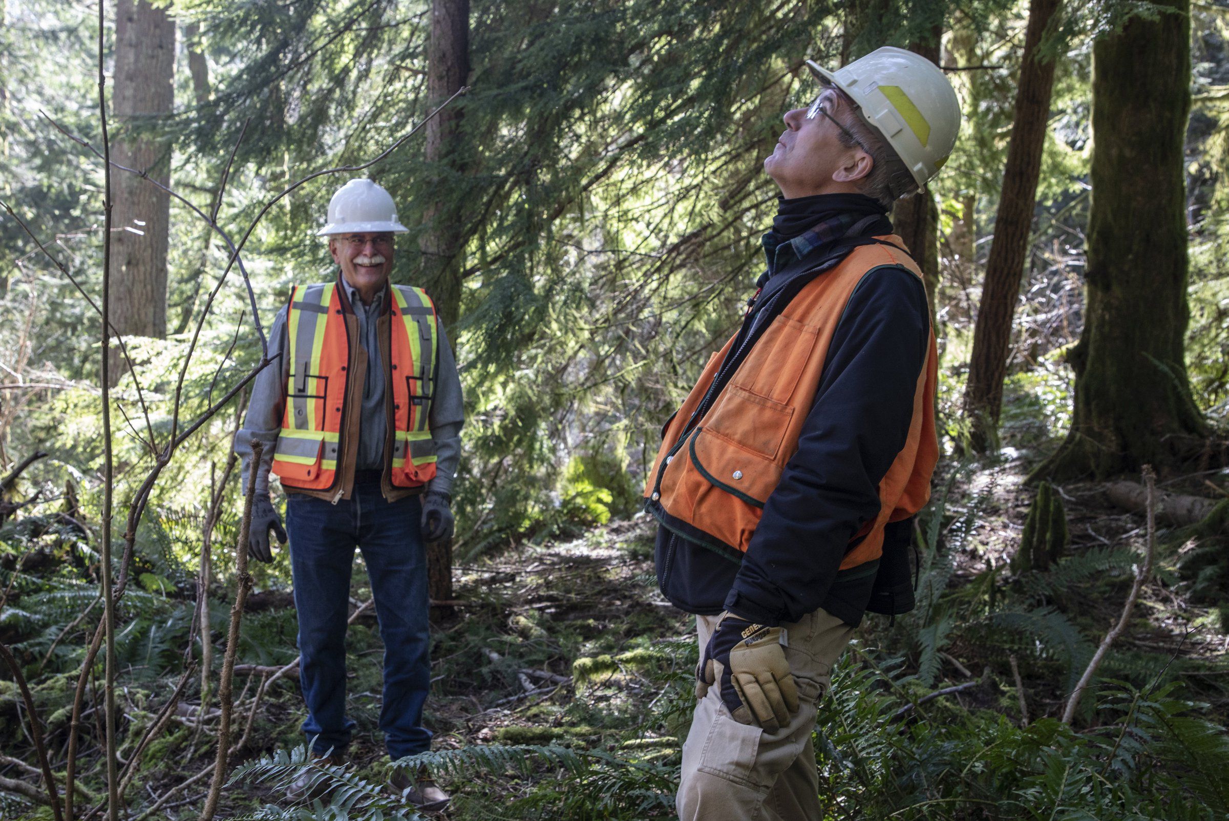 Amid climate crisis a proposal to save Washington state forests