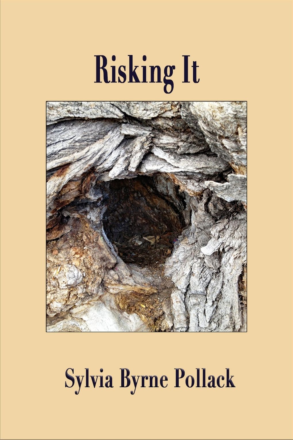 “Risking It” by Sylvia Byrne Pollack (Red Mountain Press)