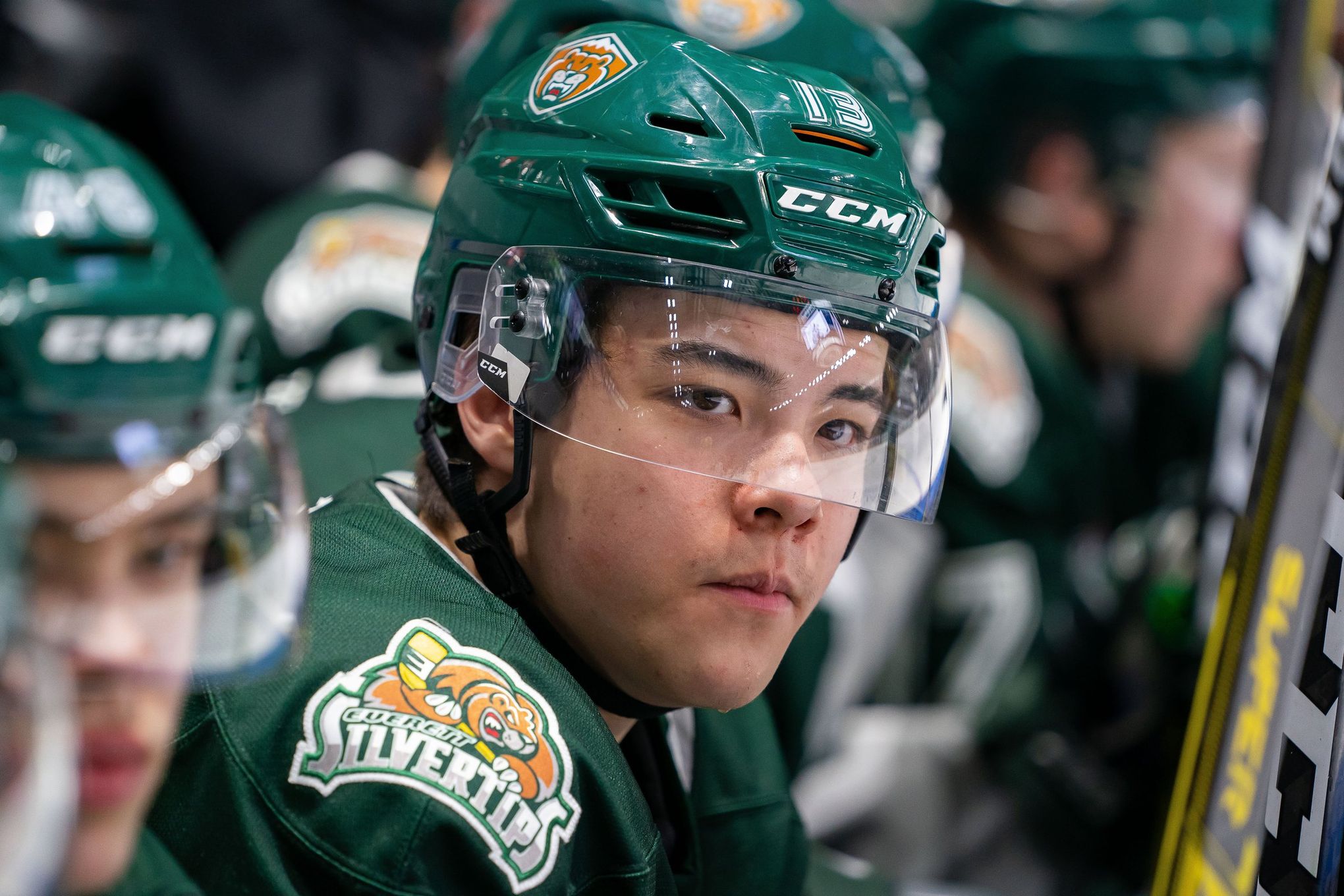 NHL Asian & Pacific Islander Heritage Month , Asian & Pacific