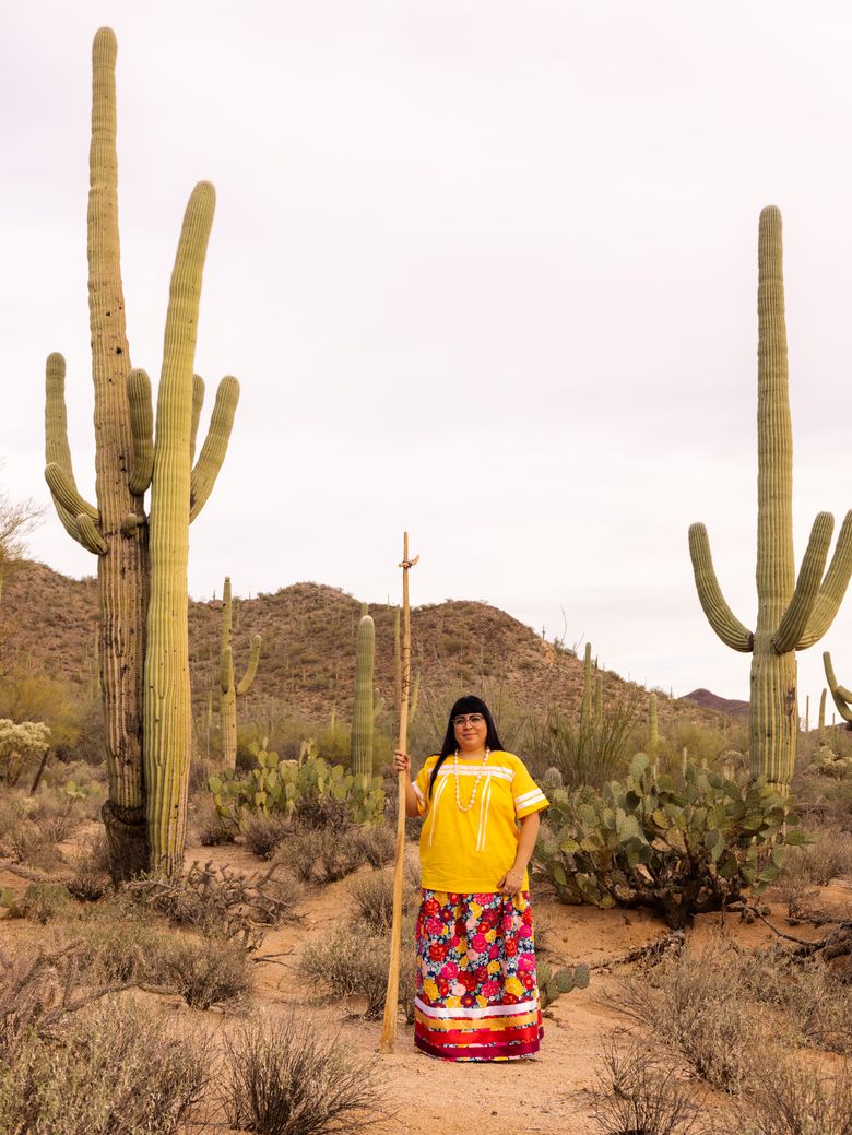 The Saguaro Cactus - A Natural History