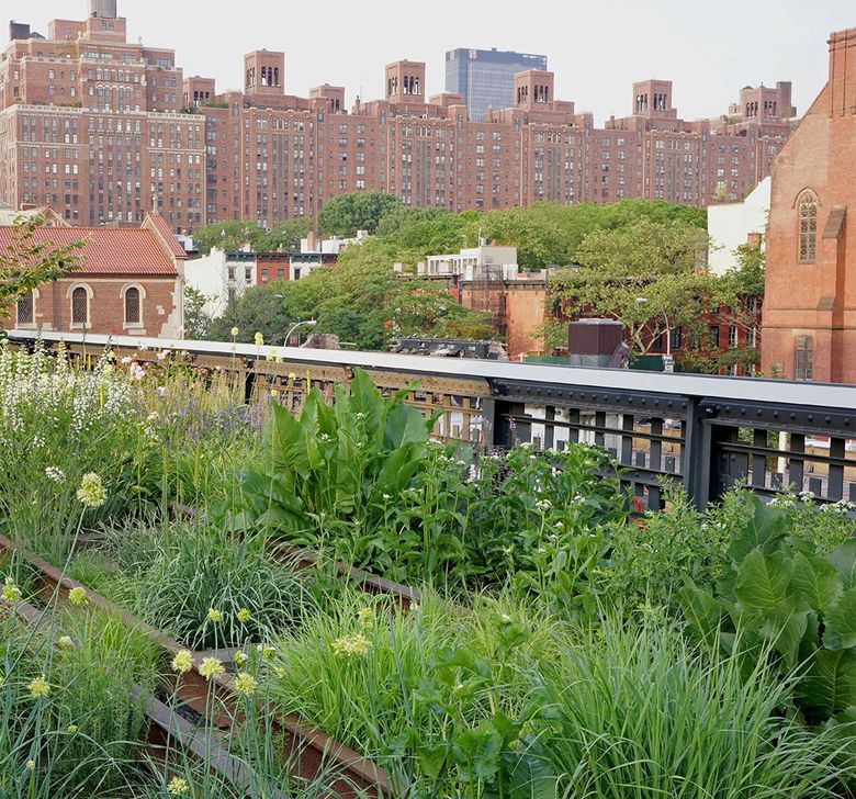 The Beautiful Perennial Gardens of Piet Oudolf, the World's Greatest Living  Landscape Designer