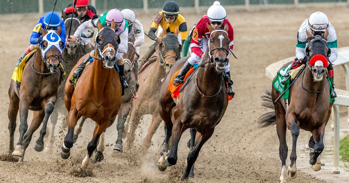 Hot Rod Charlie wins Louisiana Derby by 2 lengths The Seattle Times