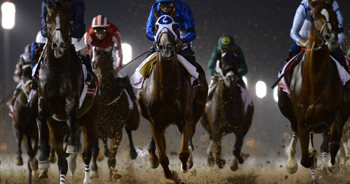 Mystic Guide Wins 25th Edition Of Dubai World Cup The Seattle Times 3635