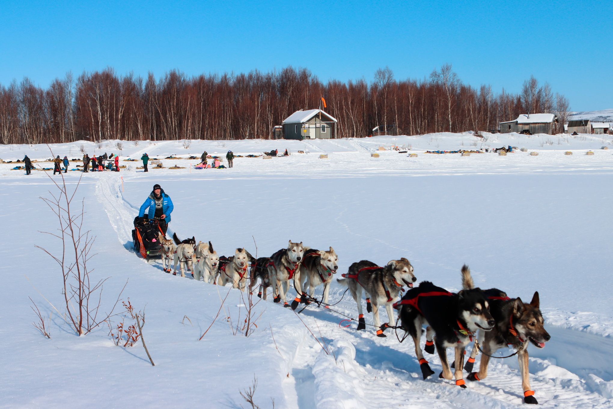 Last musher brings dogs over Alaska's Iditarod finish line