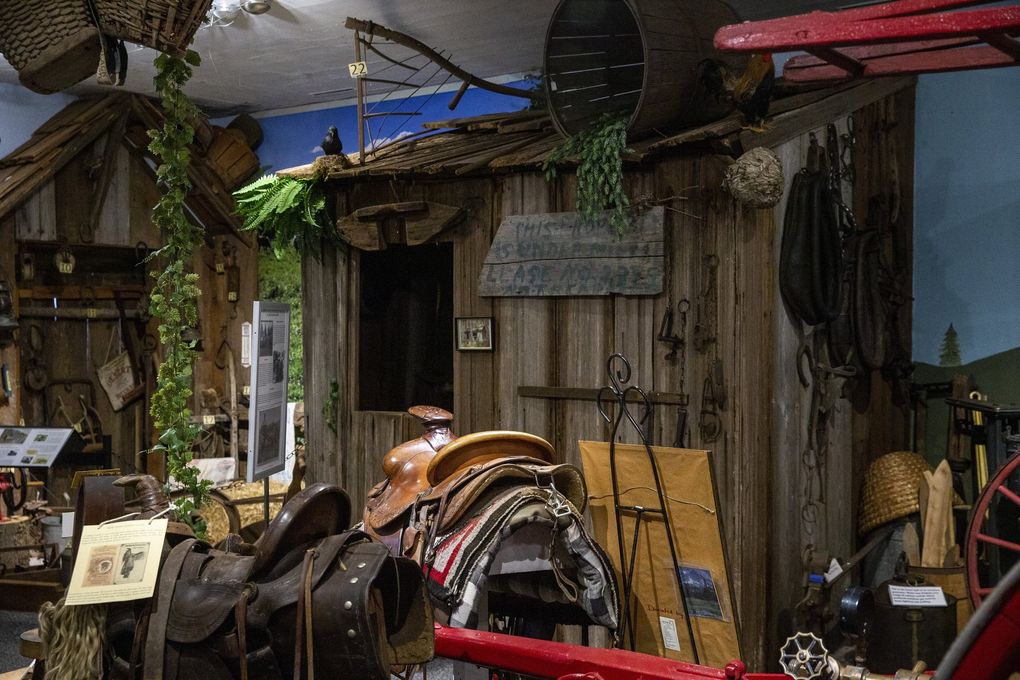 A hunting cabin on the first floor of Foothills Historical Museum in Buckley, Washington. The hunting cabin was found in the woods by Dr. Charles “Jess” Rose, the museum’s founder, and moved and reassembled plank by plank for the museum.
(Amanda Snyder / The Seattle Times)