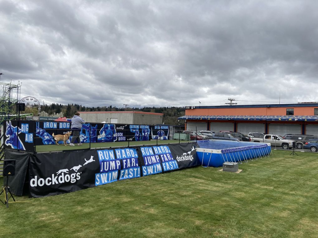 The DockDogs wowed the crowd with their jumping abilities. (Amy Wong / The Seattle Times)