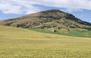 Steptoe Butte, state park in Whitman County, in the Summer of 2020.