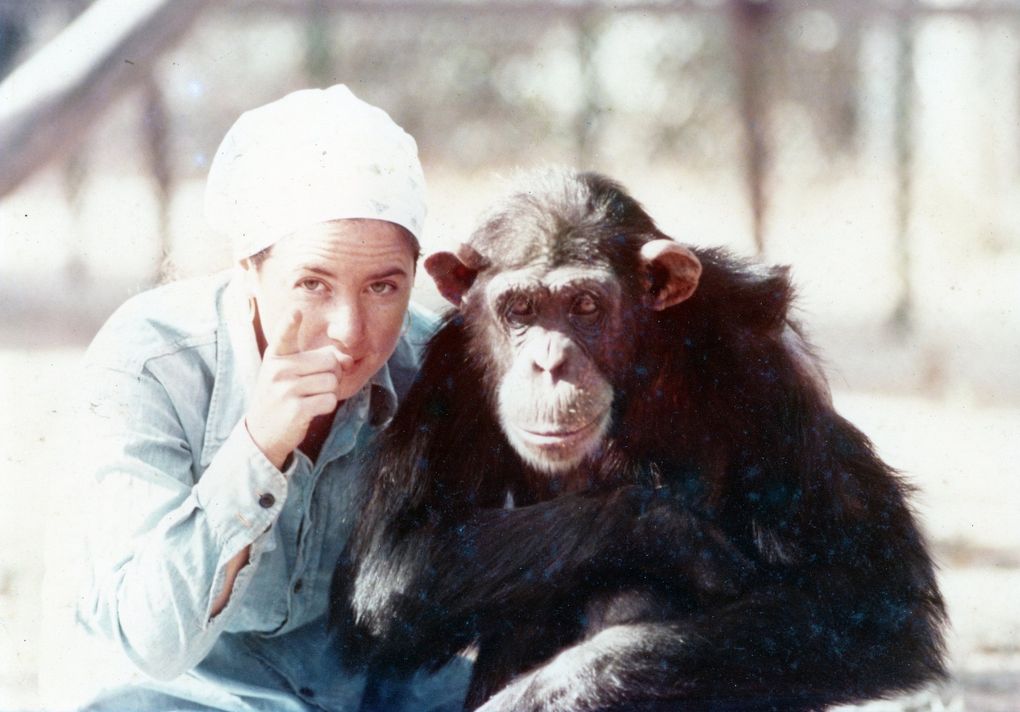 Janis Carter and “Lucy the Human Chimp.” (HBO Max)