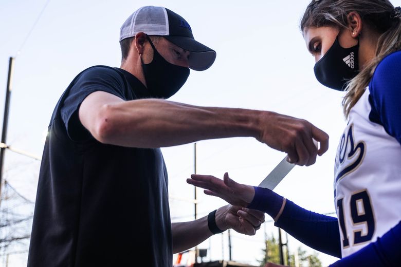 Athletic trainer Rob Scheidegger tapes up Washington softball player Jenn Cummings before Friday’s game with Seattle University. (Dean Rutz / The Seattle Times)