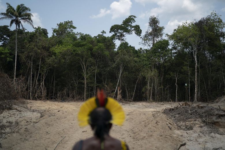 deforestation: Brazil fails to protect world's largest rainforest -  Washington Post