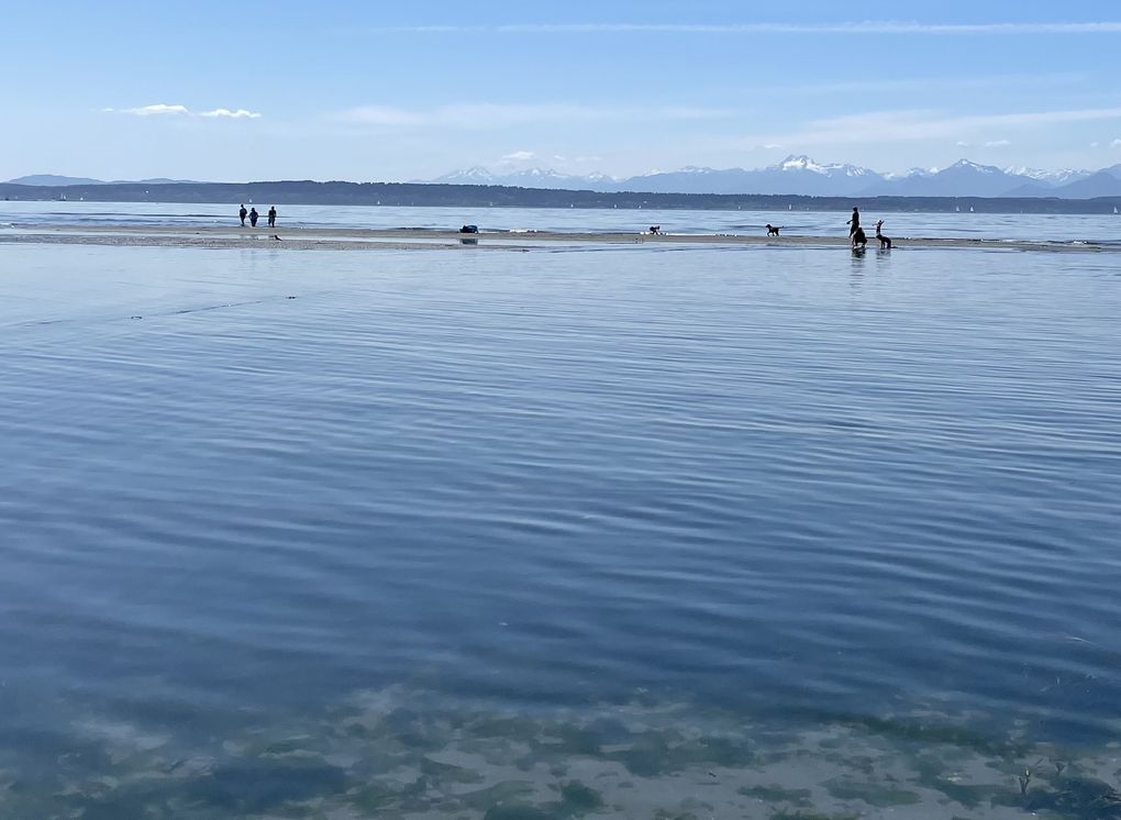 Sandbars appear and disappear, providing transitory paths. (Lena Neufeld)