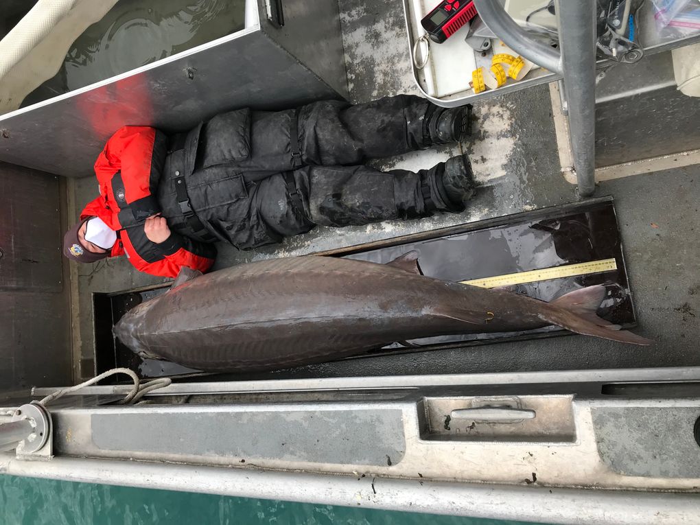antiqueice fishing lures Value of antique ice fishing lures?
