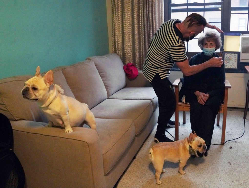 Roberto Novo, left, styles the hair of Madelon Spier while his two French bulldogs keep them company in an apartment Wednesday, May 5, 2021 in New York. Novo started offering older clients free haircuts during the coronavirus pandemic. (AP Photo/Emily Leshner)