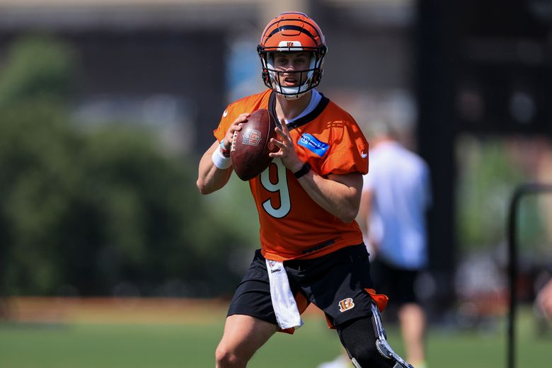 Bengals' Joe Burrow used long rehab process to refine his game - Cincy  Jungle