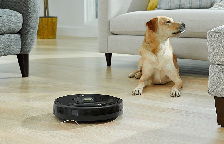 Not sure which vacuum is right for you? Here’s how to choose The