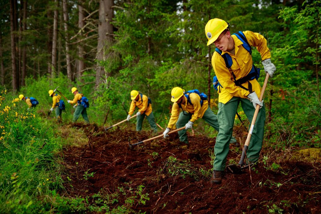 Matthew Berman, right, and fellow National Guardsmen learn how to construct a fireline next to a section of forest at Joint Base Lewis-McChord last month, during a training session conducted by the state Department of Natural Resources. (Erika Schultz / The Seattle Times)