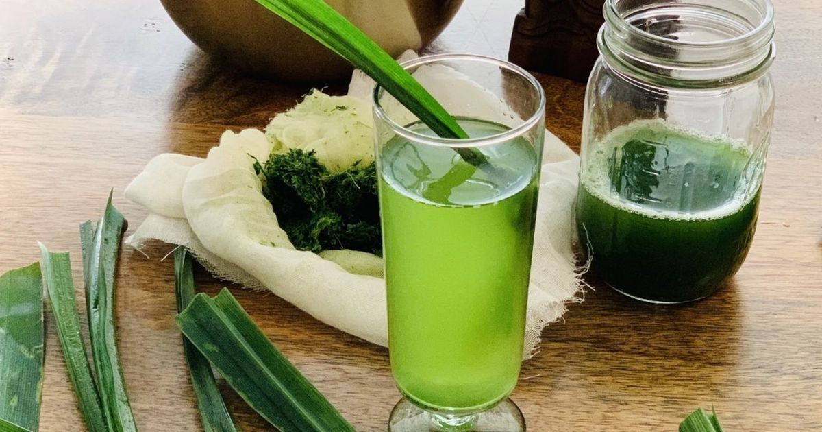 Make refreshing pandan water, and it’ll be your goto motivation for hydration The Seattle Times