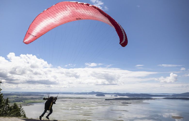 Thursday, June 11, 2021. A paraglider makes the final push down the hill from the Samish Overlook launching out over Samish Bay. 217317